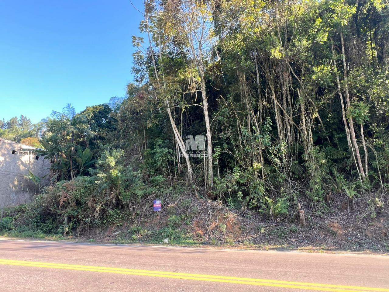 Lote/Terreno de 15038m² no bairro Primeiro de Maio, em Brusque | Eu Corretor