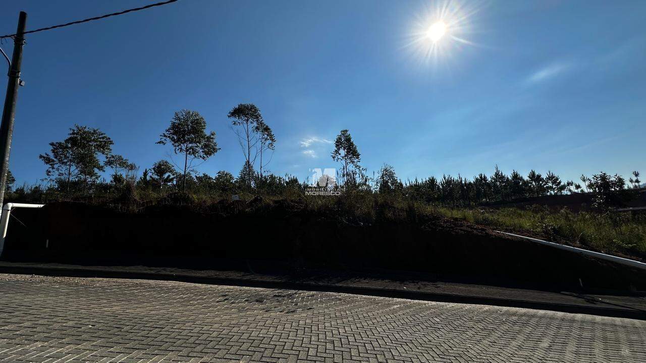 Terreno à venda no bairro Imigrantes: