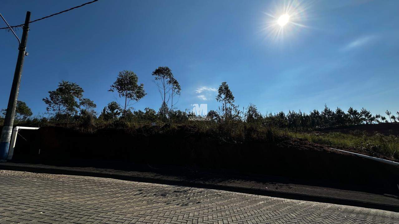 Terreno à venda no bairro Imigrantes: