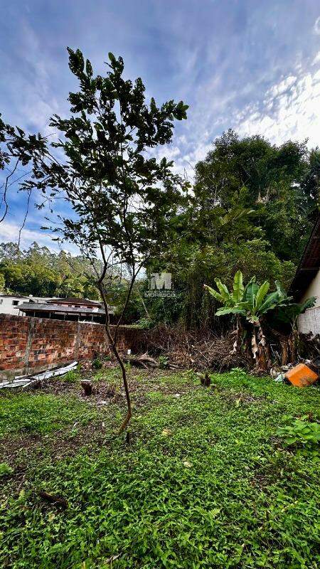 Lote/Terreno de 1102m² no bairro Primeiro de Maio, em Brusque | Eu Corretor