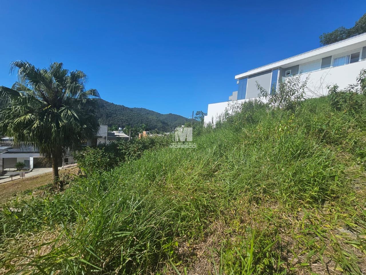 Terreno à venda no bairro Guarani: 