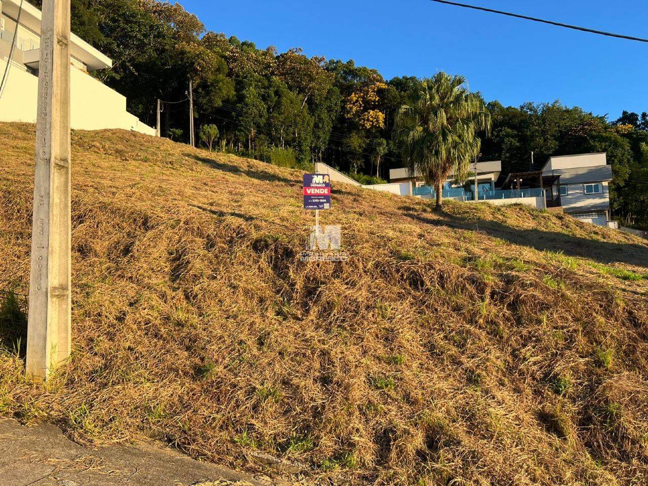 Terreno à venda no bairro Guarani: 