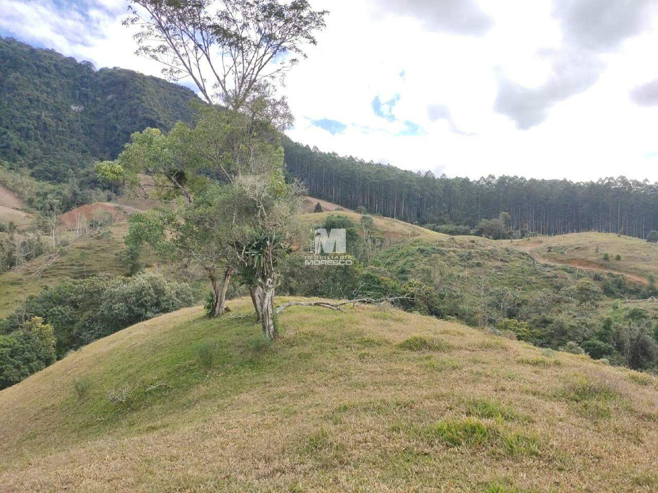 Fazenda/Sítios/Chácaras de 126800m² no bairro Vinte Saltos, em Leoberto Leal | Eu Corretor
