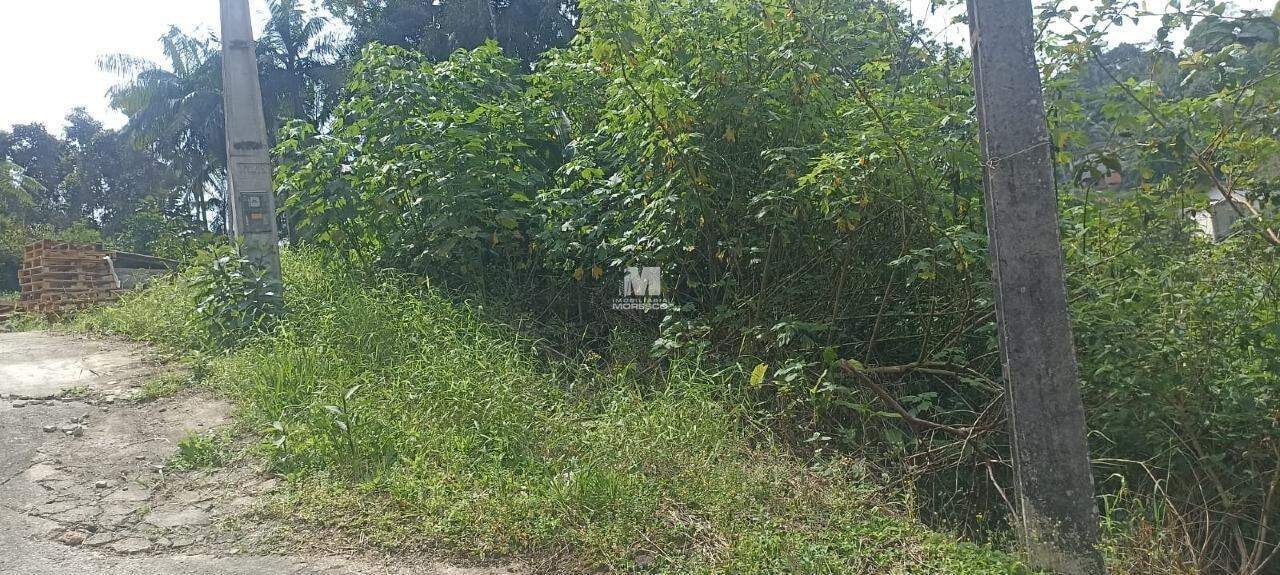 Lote/Terreno de 480m² no bairro Azambuja, em Brusque | Eu Corretor