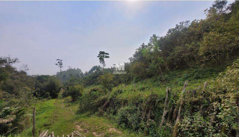 Lote/Terreno de 56170m² no bairro Volta Grande, em Brusque | Eu Corretor
