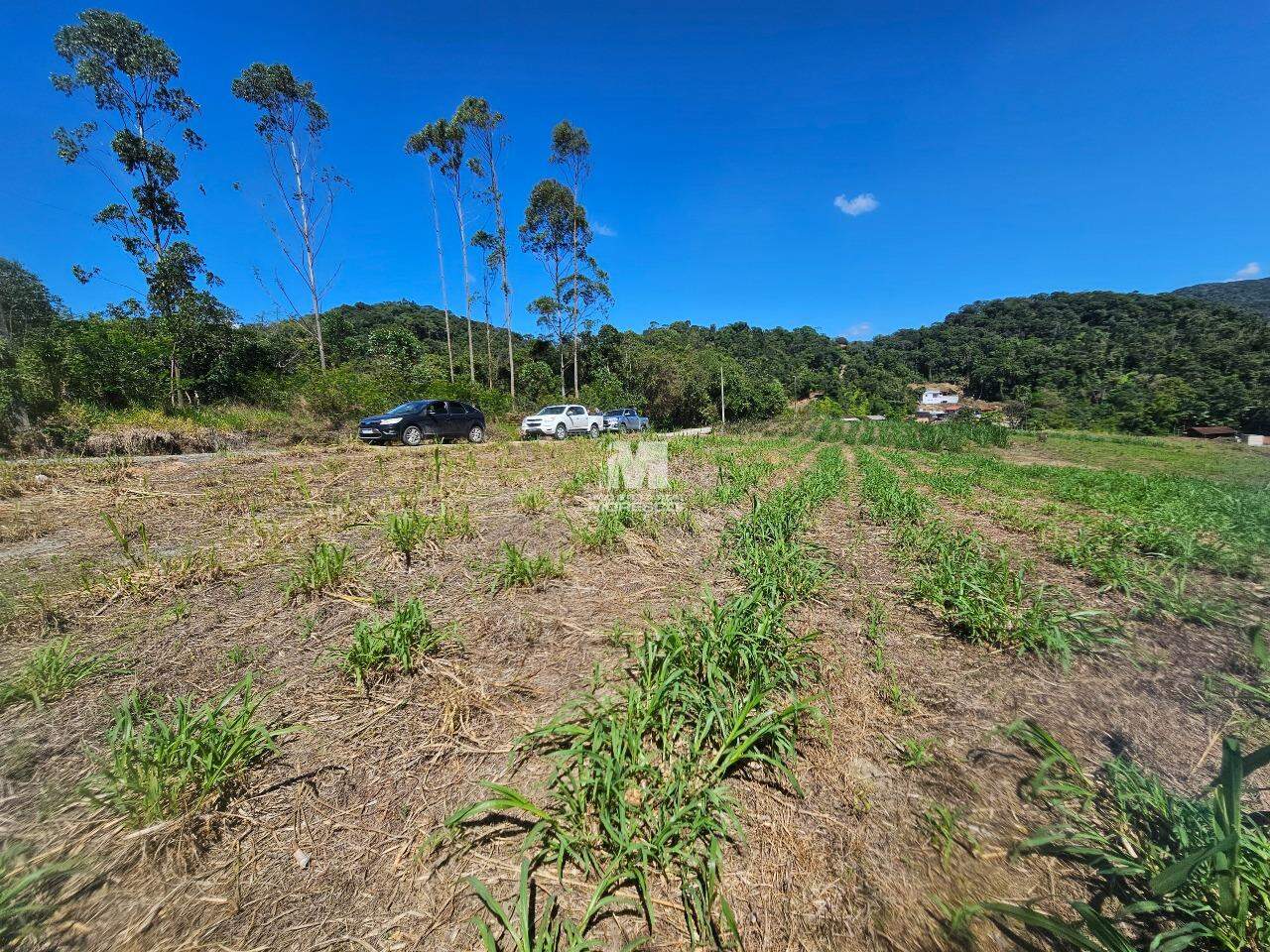 Lote/Terreno de 2945m² no bairro São João, em Brusque | Eu Corretor