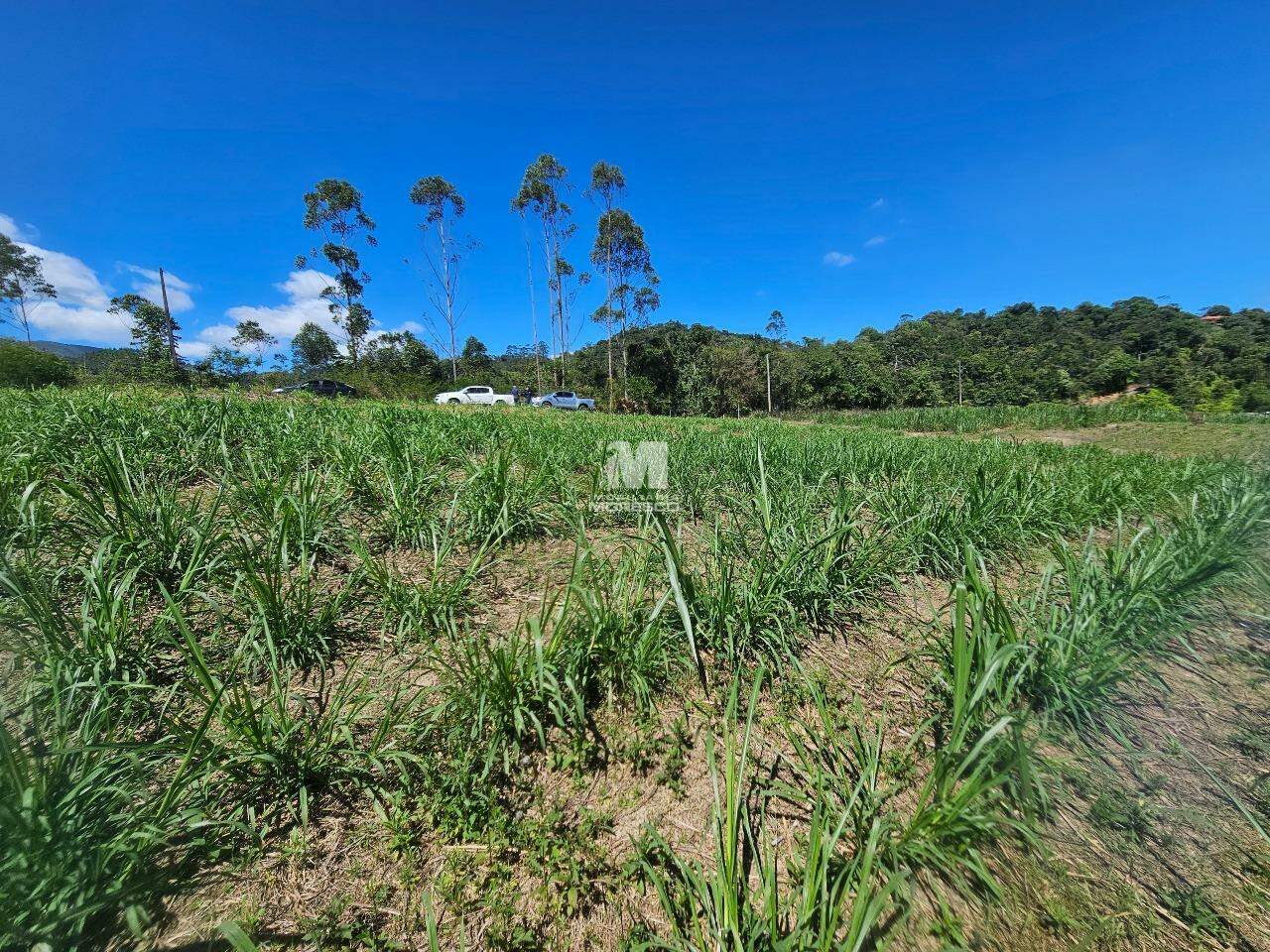 Lote/Terreno de 2945m² no bairro São João, em Brusque | Eu Corretor