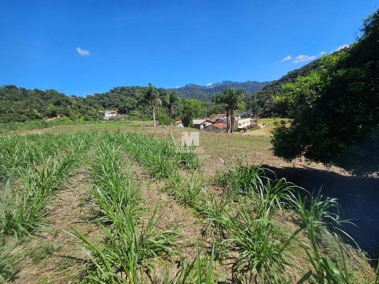 Lote/Terreno de 2945m² no bairro São João, em Brusque | Eu Corretor