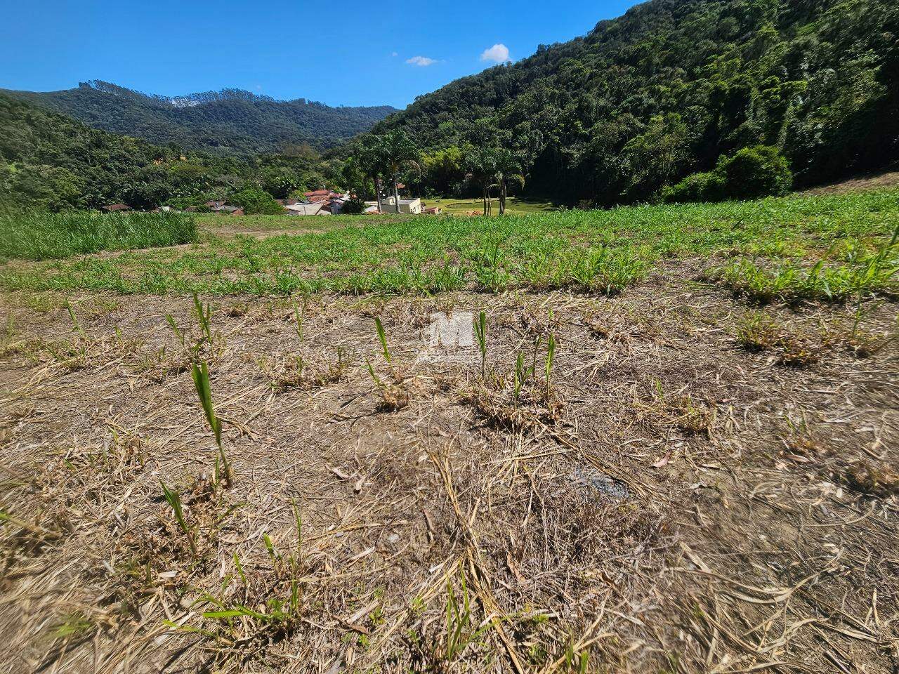 Lote/Terreno de 2945m² no bairro São João, em Brusque | Eu Corretor