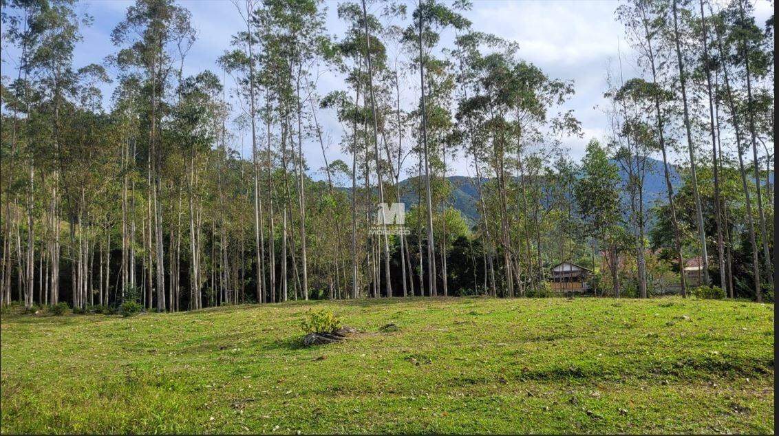 Terreno à venda no bairro Planície Alta: 