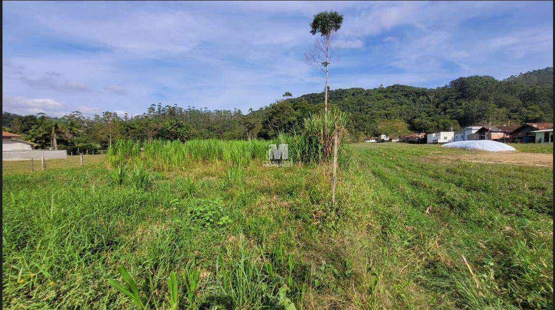 Terreno à venda no bairro Planície Alta: 