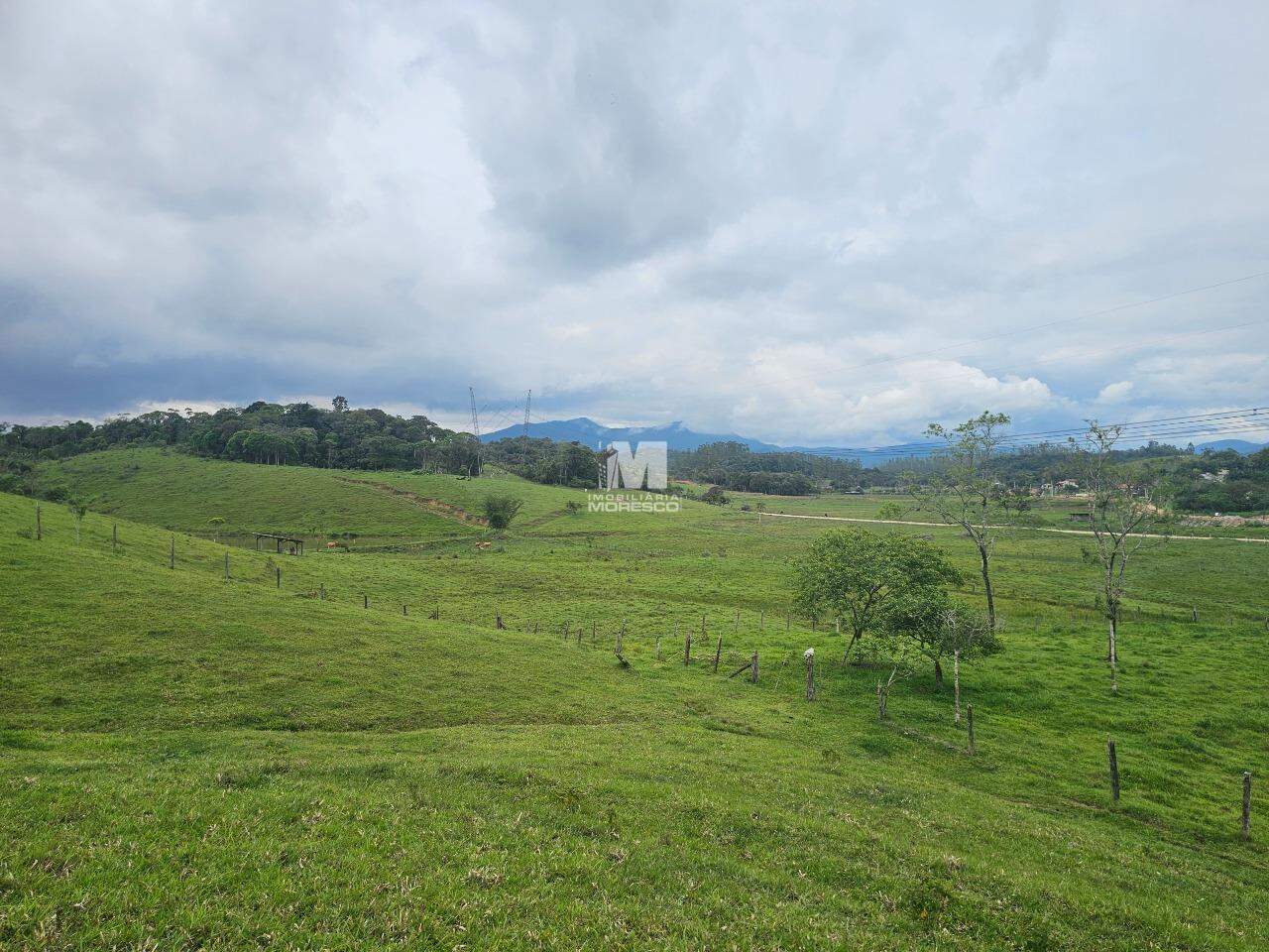 Sítio/Chácara à venda no bairro Macucos: 