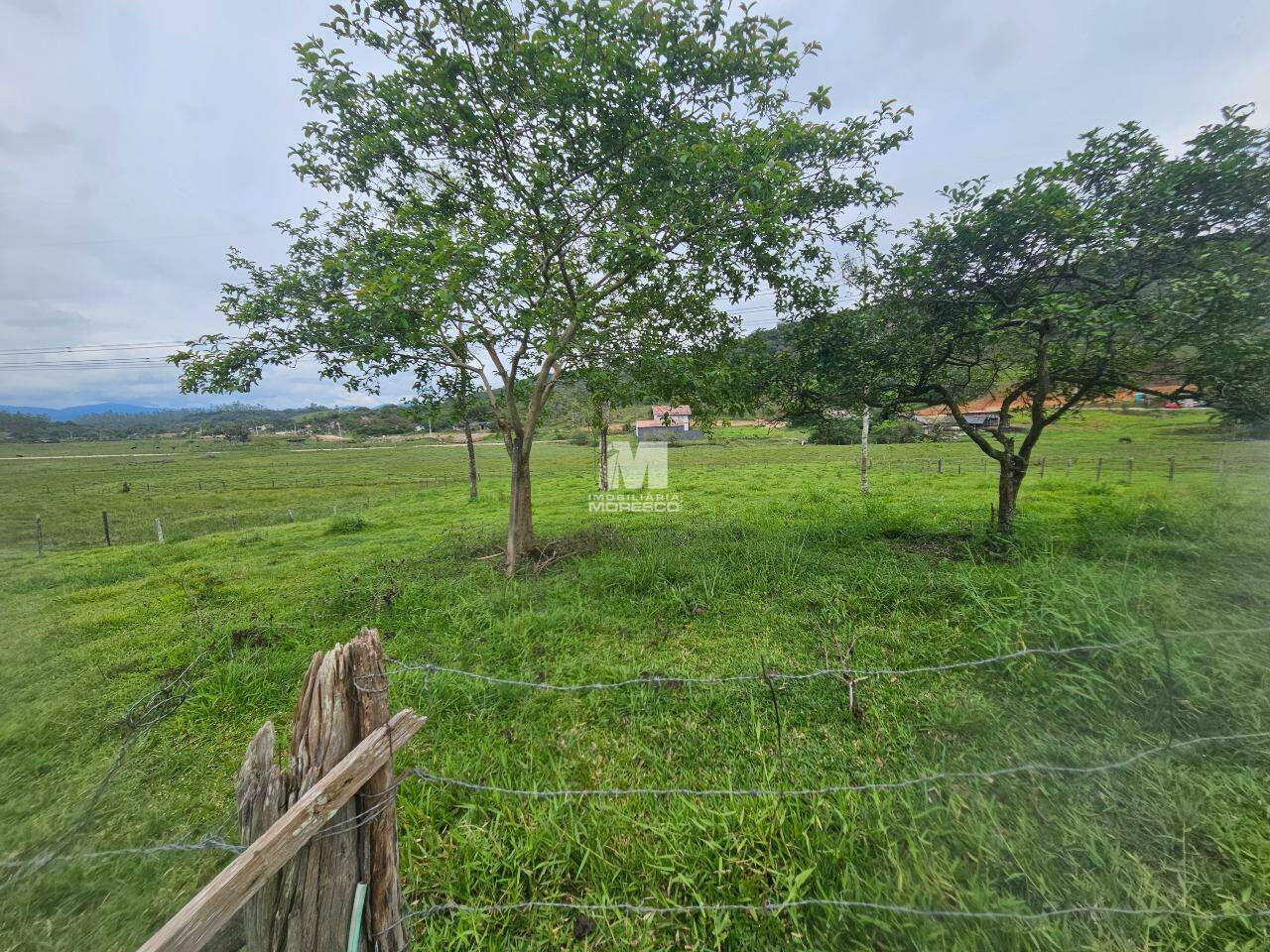 Sítio/Chácara à venda no bairro Macucos: 