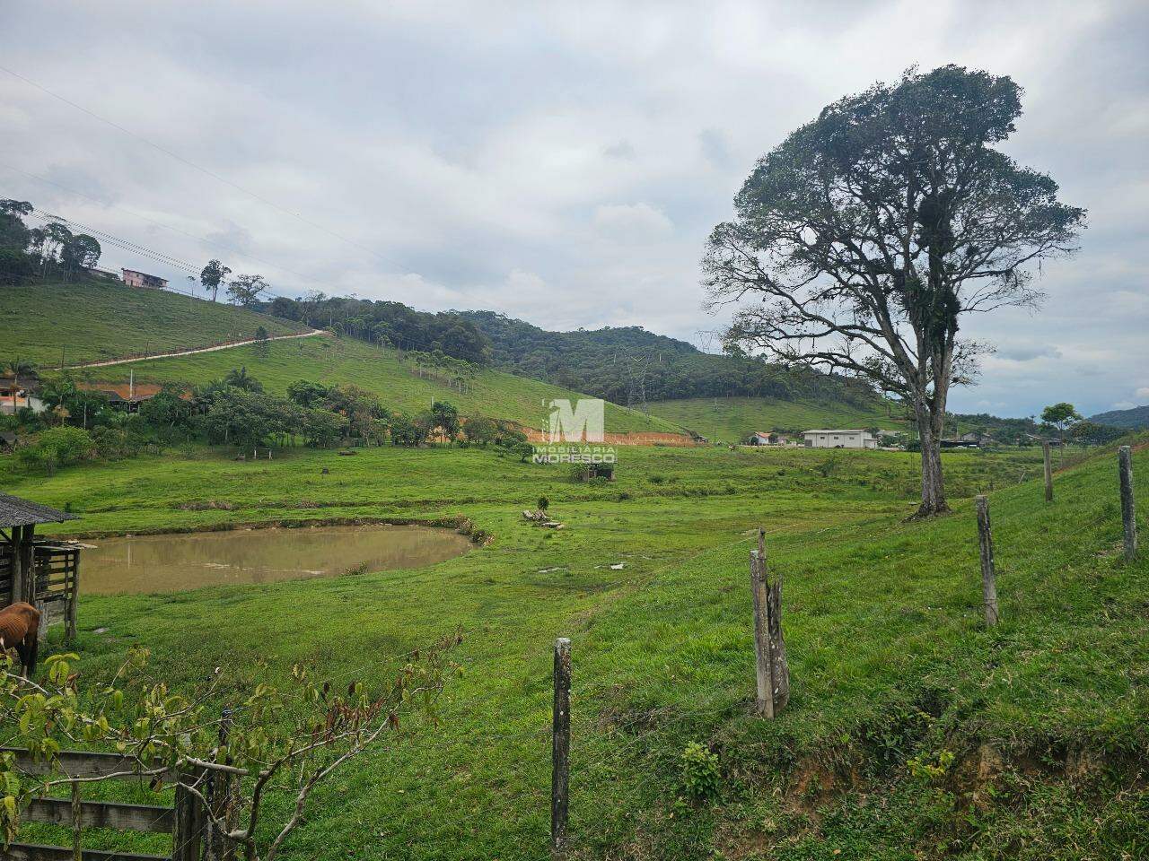 Sítio/Chácara à venda no bairro Macucos: 