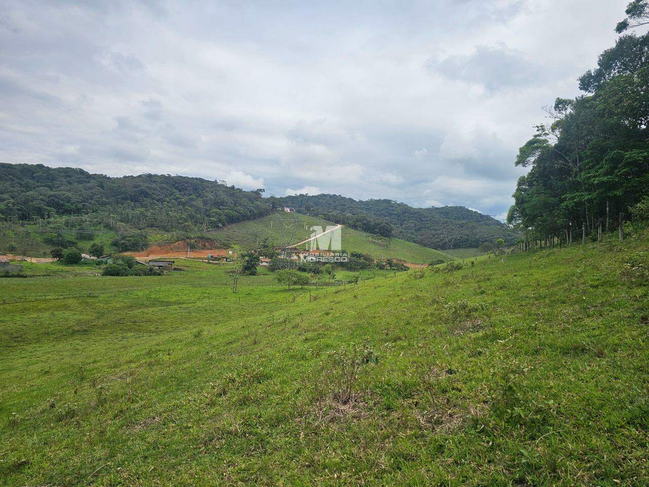 Sítio/Chácara à venda no bairro Macucos: 
