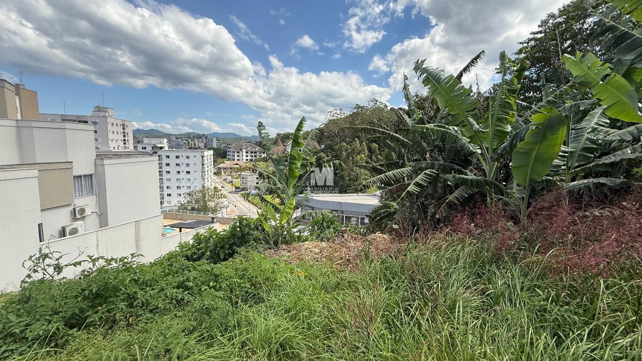 Terreno à venda no bairro Centro: 