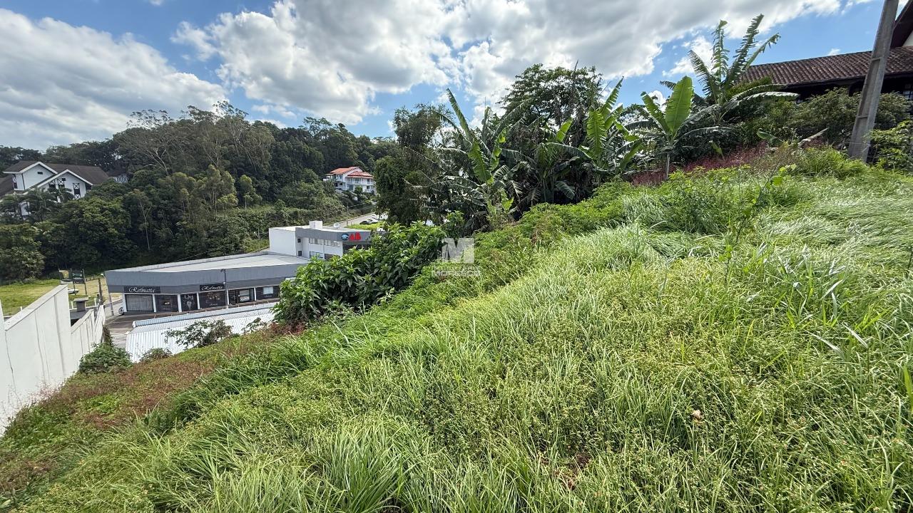 Terreno à venda no bairro Centro: 