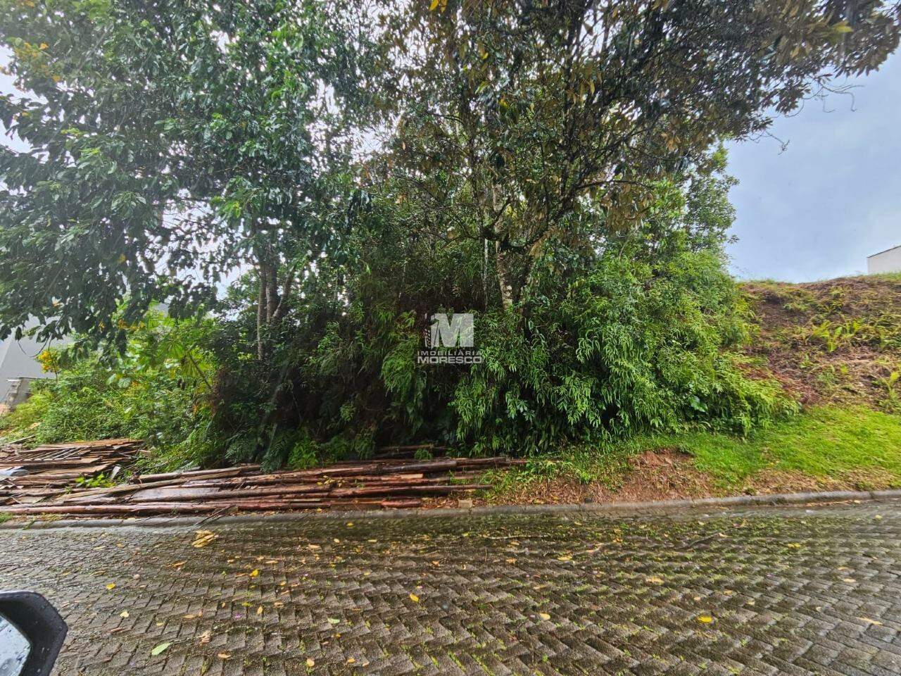 Terreno à venda no bairro Souza Cruz: 