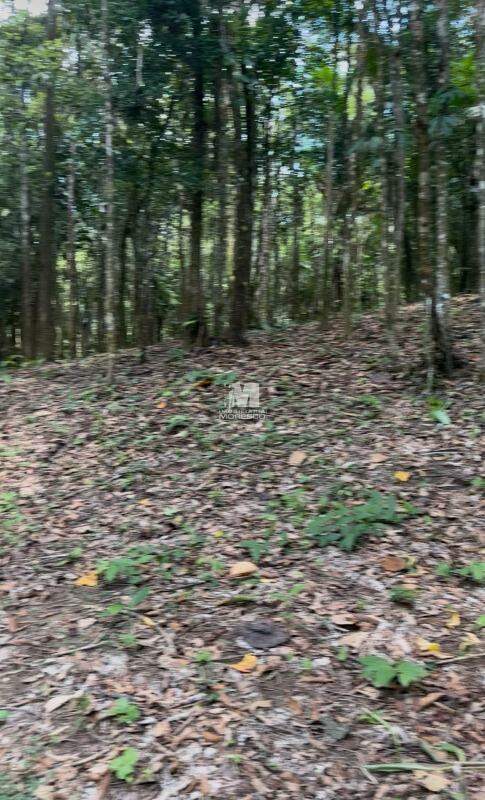 Sítio/Chácara à venda no bairro Aymoré: 
