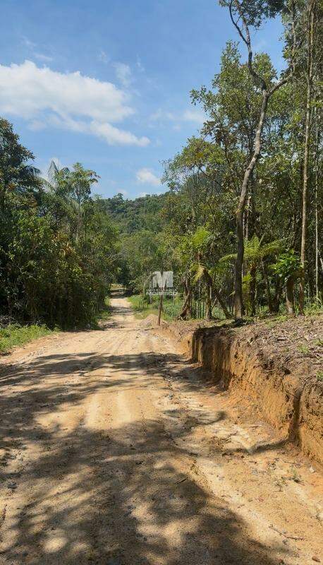 Sítio/Chácara à venda no bairro Aymoré: 