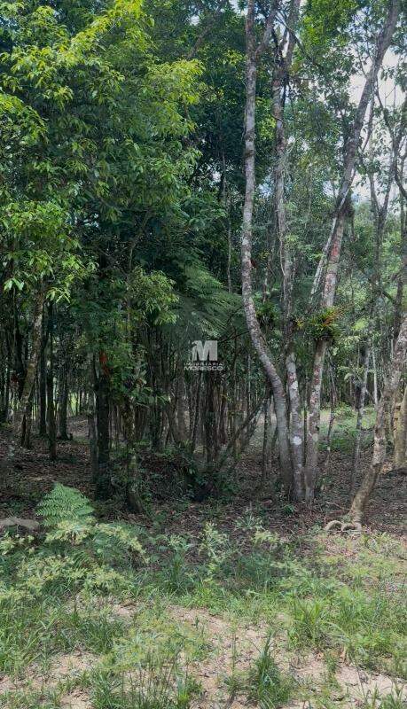 Sítio/Chácara à venda no bairro Aymoré: 