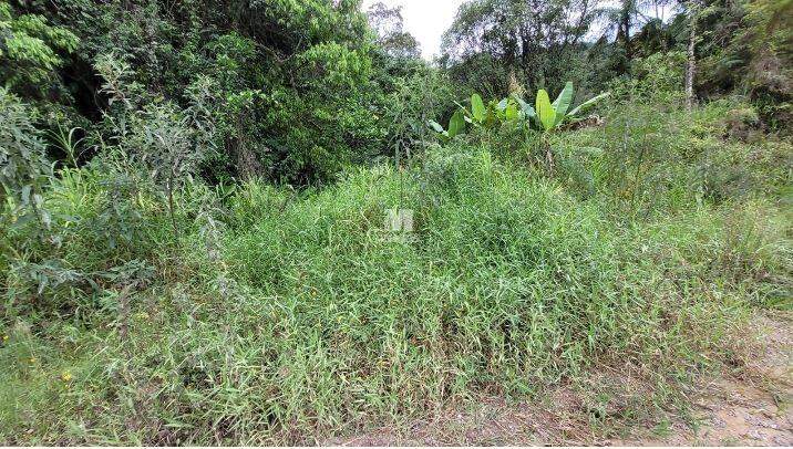 Terreno à venda no bairro Aymoré: 