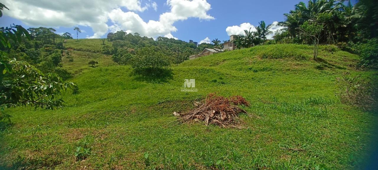Terreno à venda no bairro Nova Brasília: