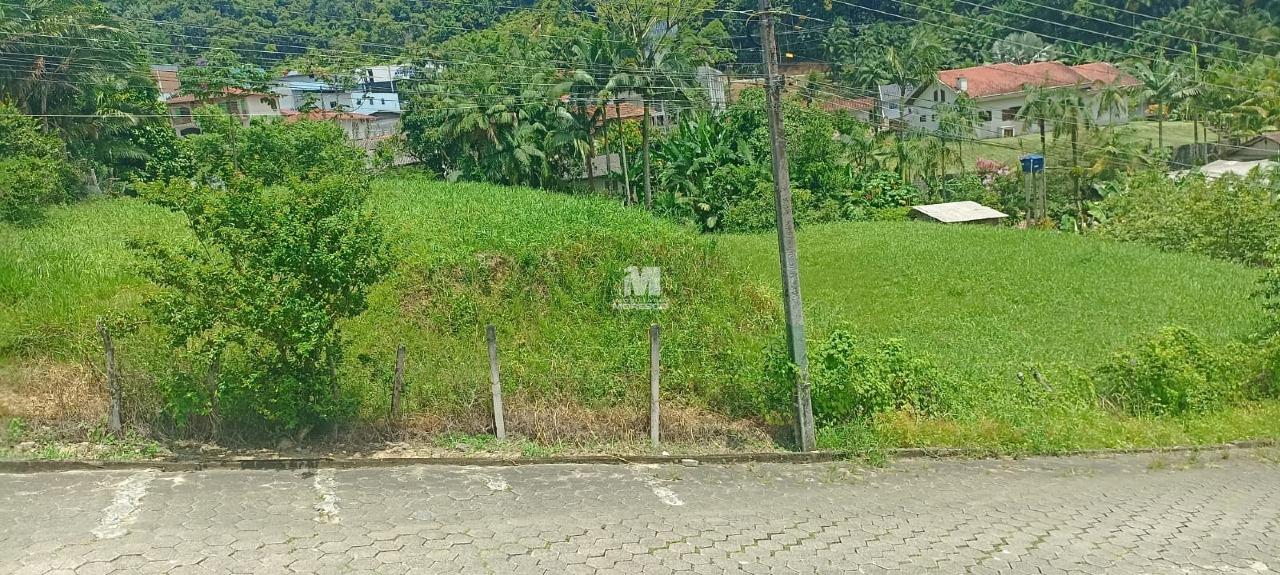 Terreno à venda no bairro Nova Brasília: 