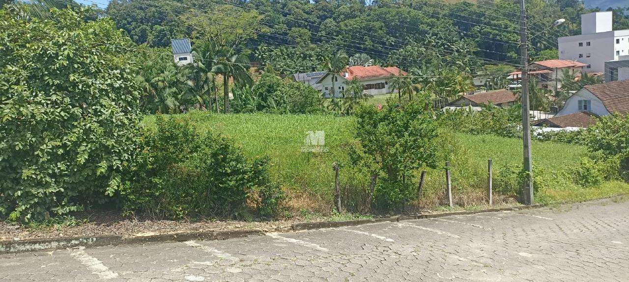 Terreno à venda no bairro Nova Brasília: