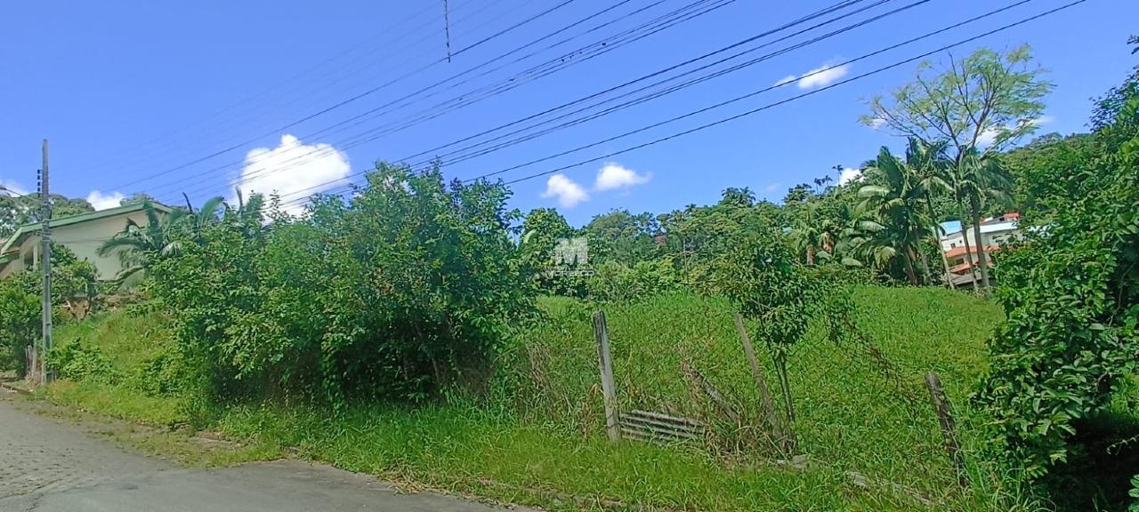 Terreno à venda no bairro Nova Brasília: 