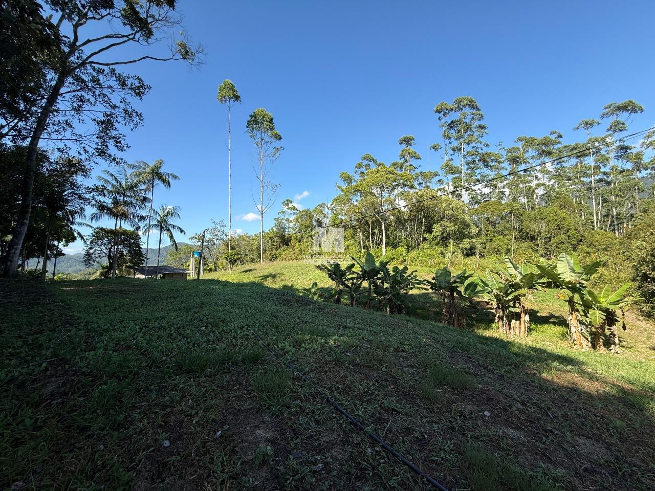 Sítio/Chácara à venda no bairro Aymoré: 