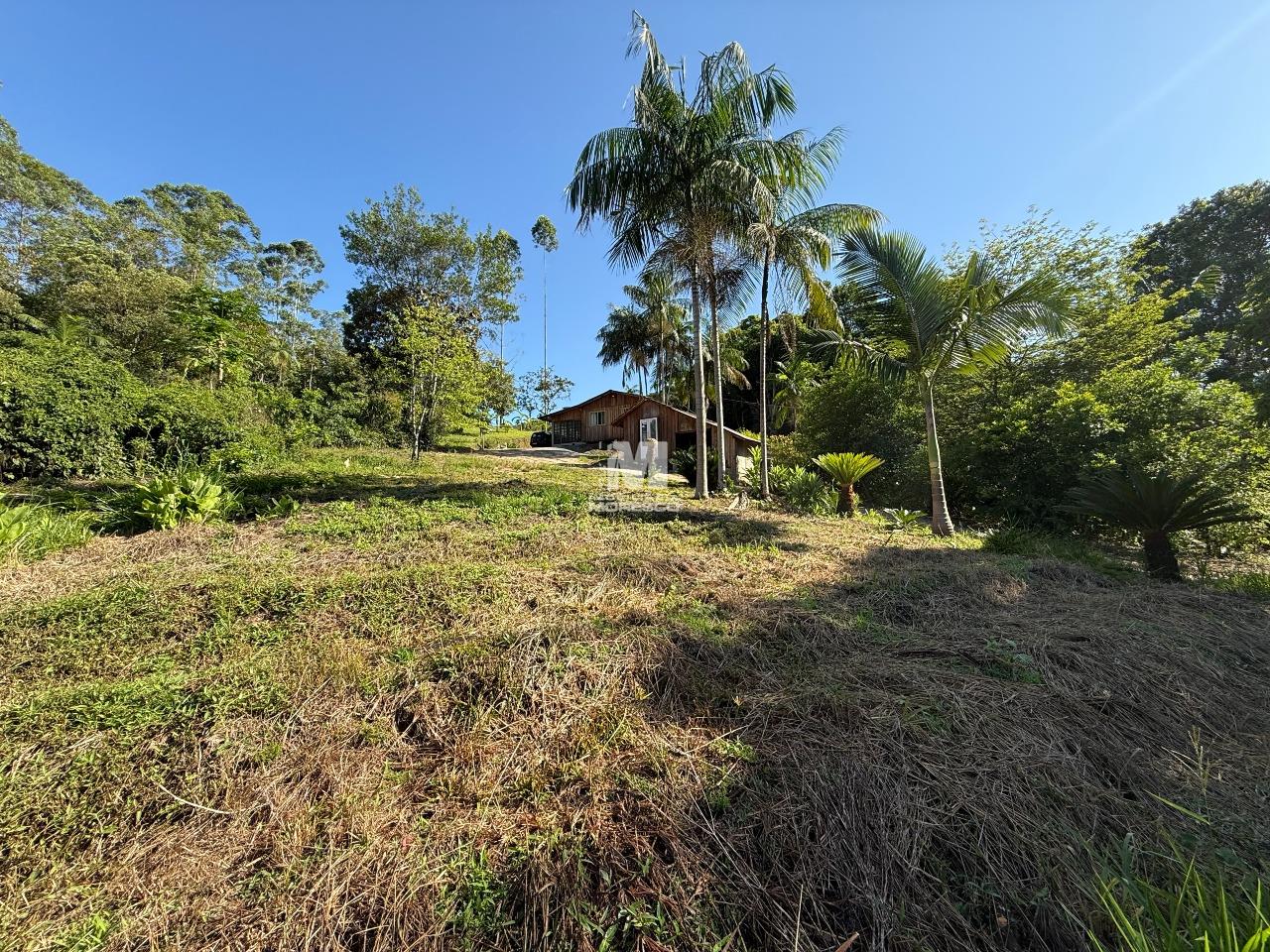 Sítio/Chácara à venda no bairro Aymoré: 