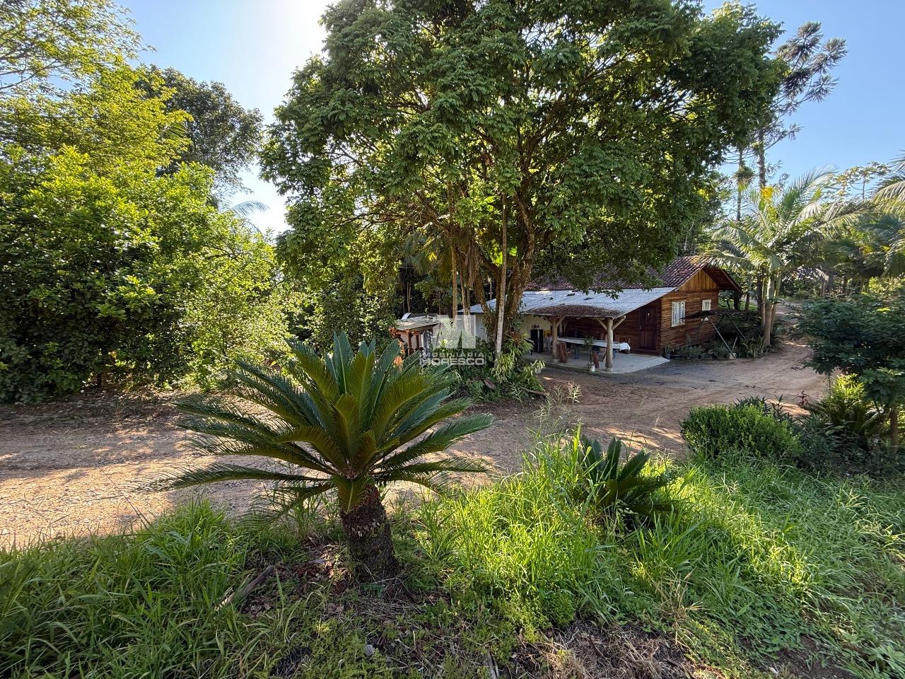 Sítio/Chácara à venda no bairro Aymoré: 