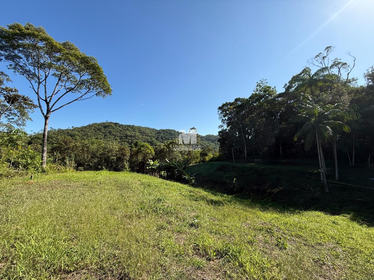 Sítio/Chácara à venda no bairro Aymoré: 