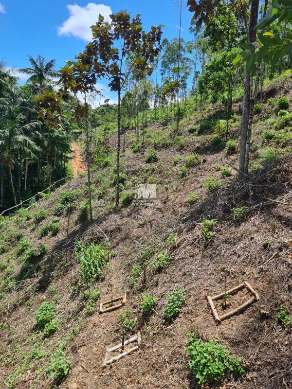 Sítio/Chácara à venda no bairro Aymoré: