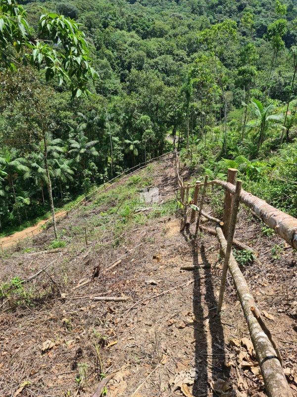 Sítio/Chácara à venda no bairro Aymoré: