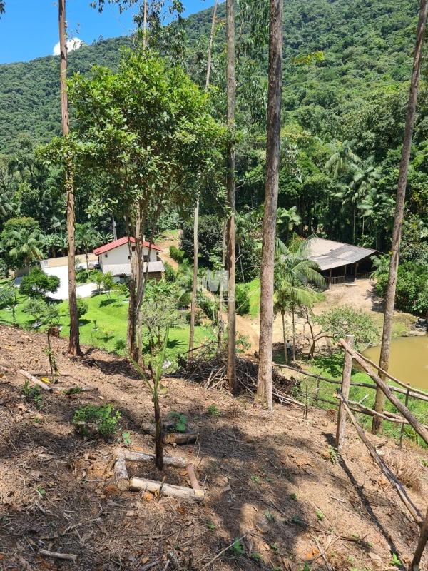 Sítio/Chácara à venda no bairro Aymoré: