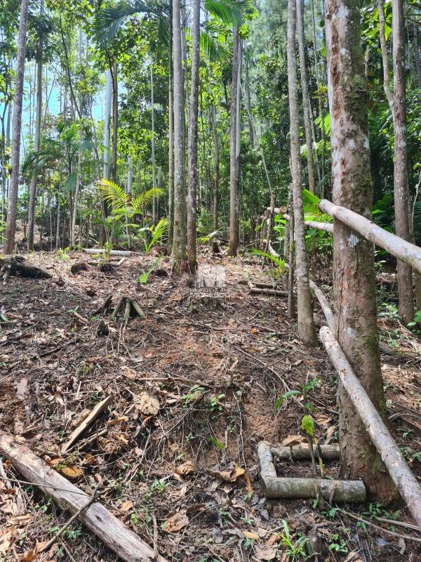 Sítio/Chácara à venda no bairro Aymoré: