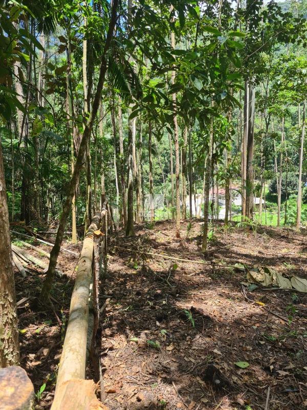 Sítio/Chácara à venda no bairro Aymoré: