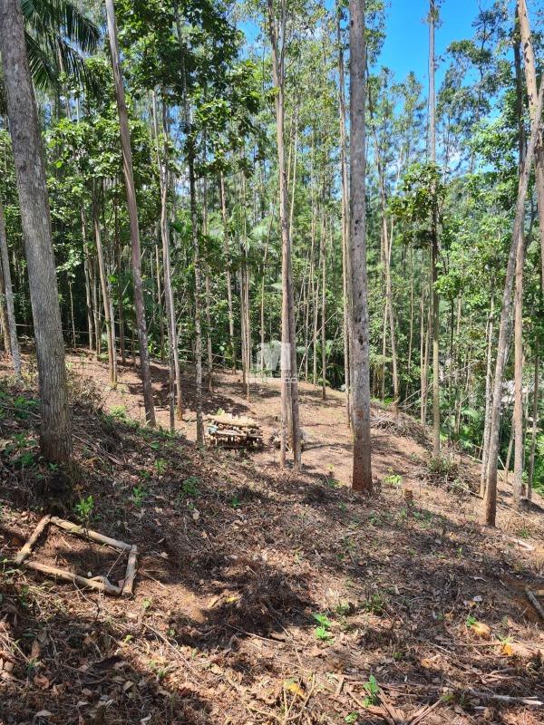 Sítio/Chácara à venda no bairro Aymoré: