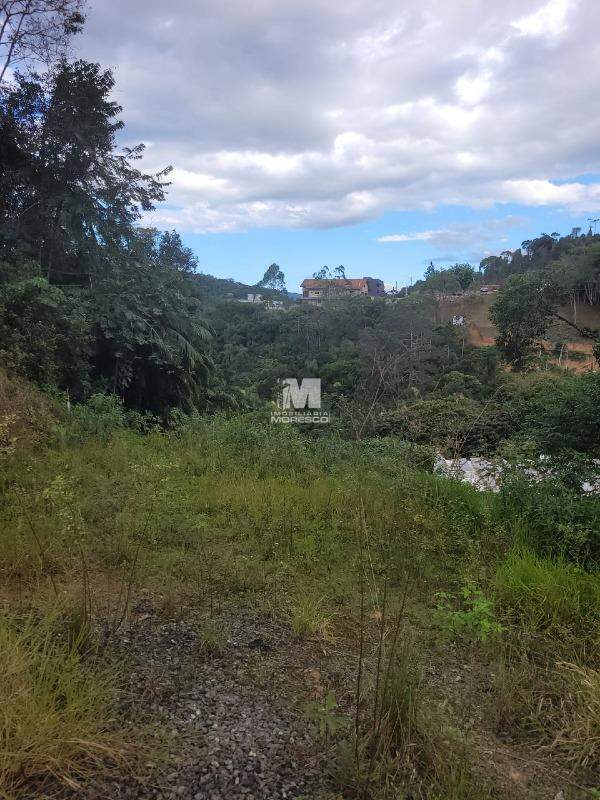 Terreno à venda no bairro Souza Cruz: 