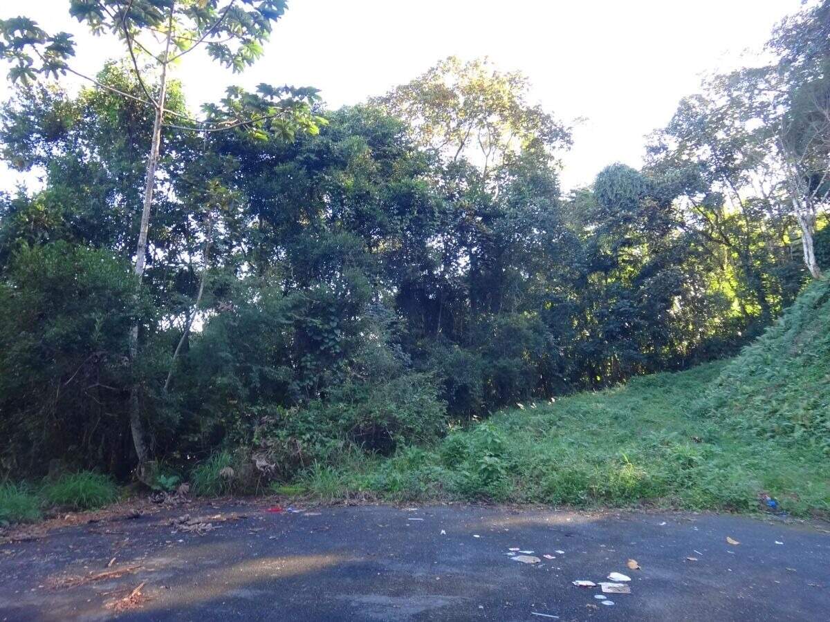 Lote/Terreno de 355m² no bairro São Pedro, em Brusque | Eu Corretor