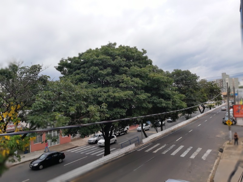 Salão para aluguel no JARDIM PEDROSO: Foto 13
