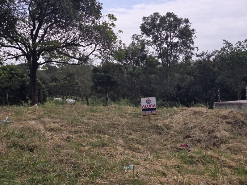 TERRENO para aluguel no JARDIM BELA VISTA: Foto 16
