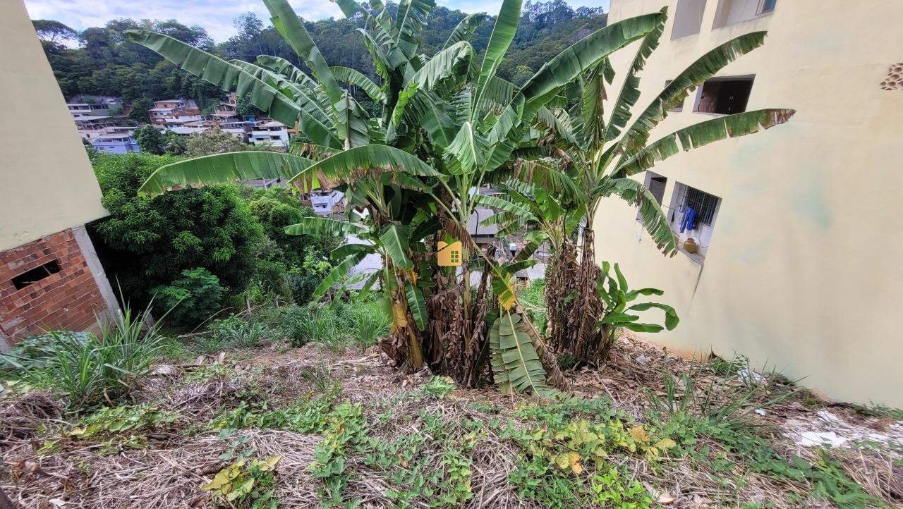 Terreno à venda no Amarelo: 
