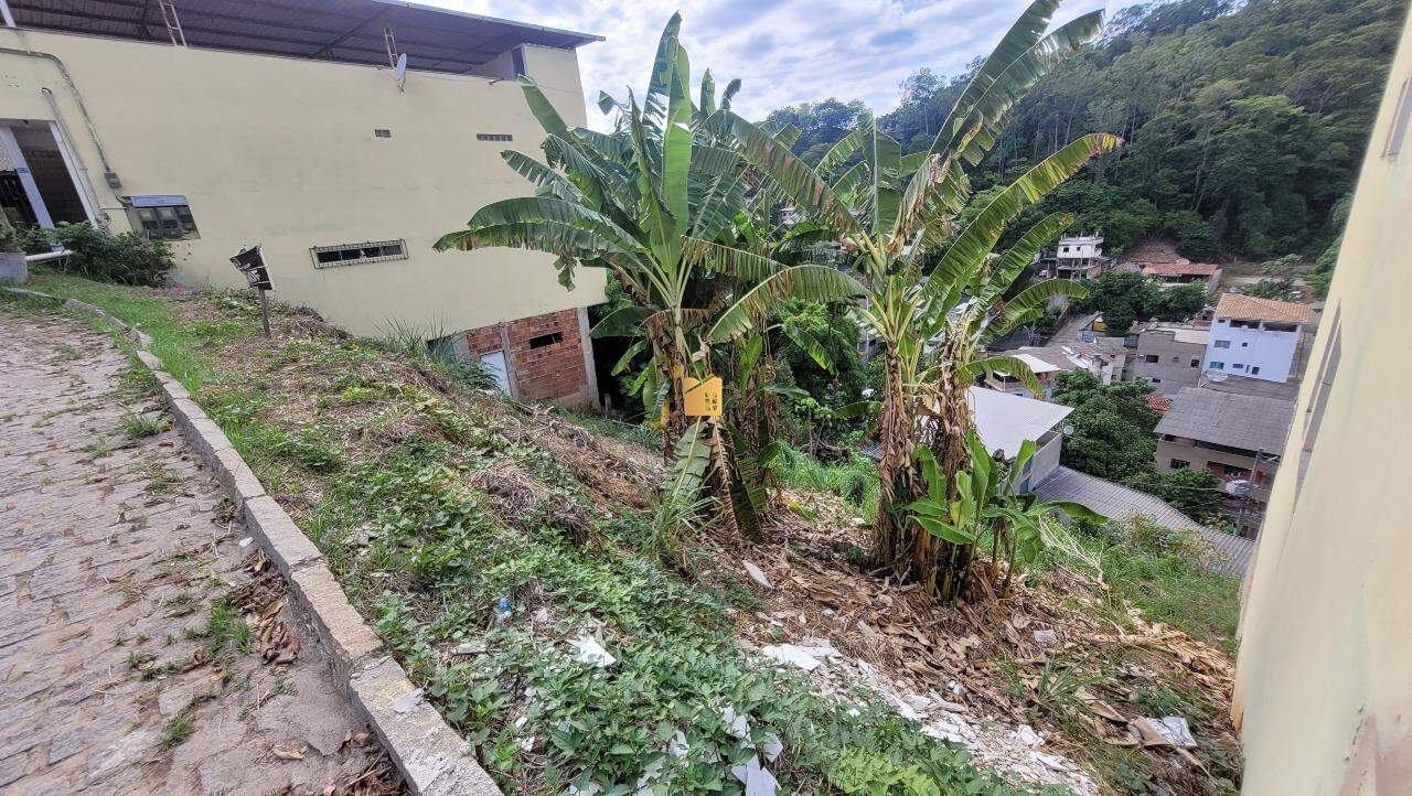 Terreno à venda no Amarelo: 