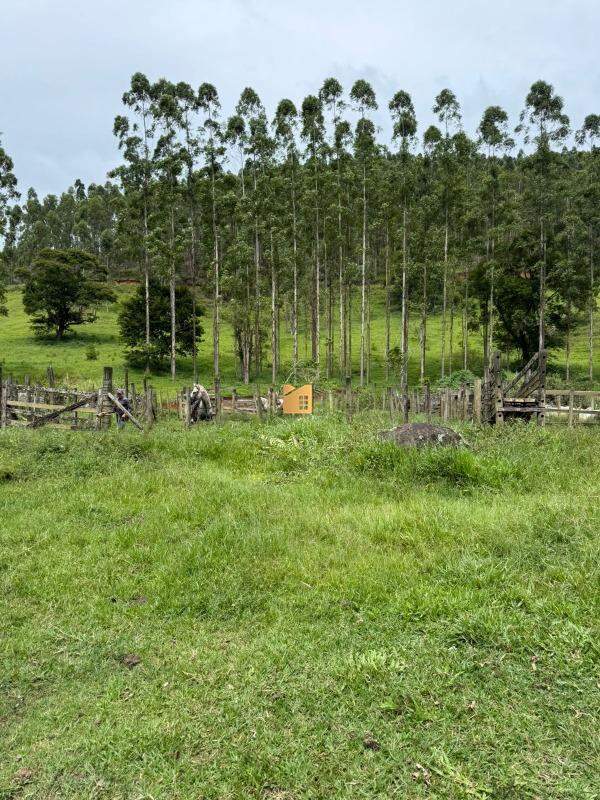 Terreno à venda no Alto Calçado: 