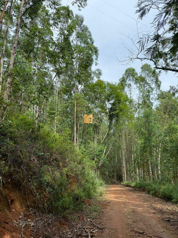 Terreno à venda no Alto Calçado: 
