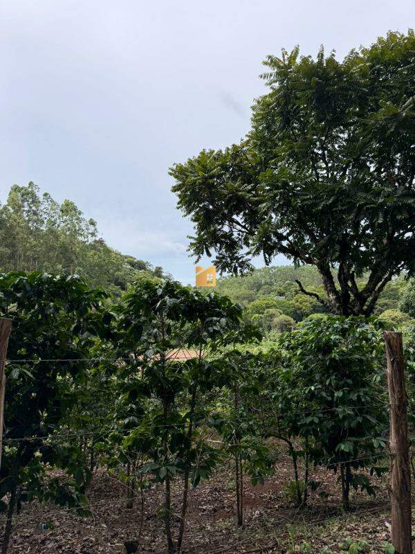 Terreno à venda no Alto Calçado: 
