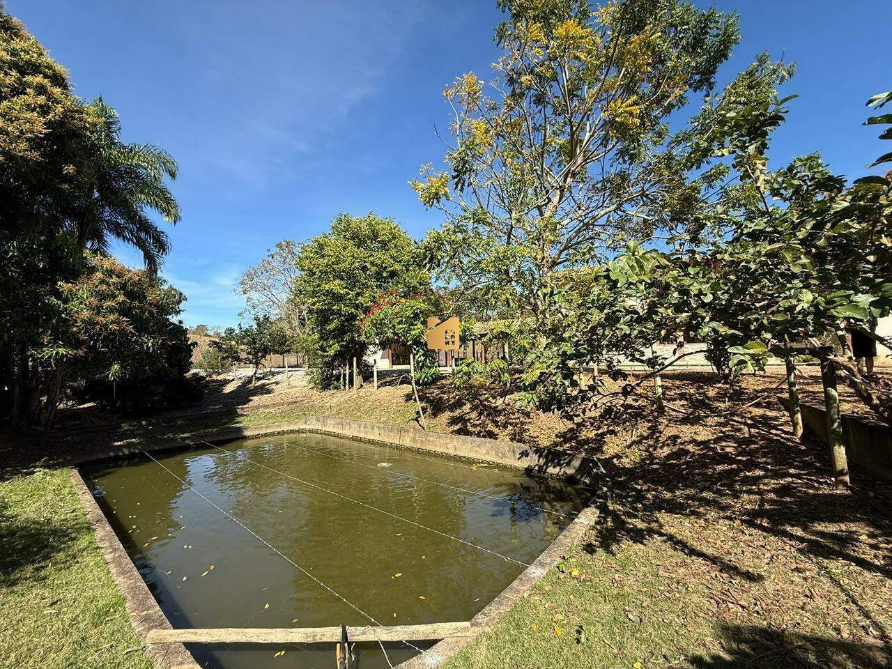 Chácara à venda no MORRO GRANDE: 